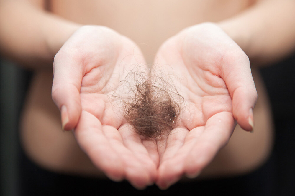 womans hands holding a large hair chunk