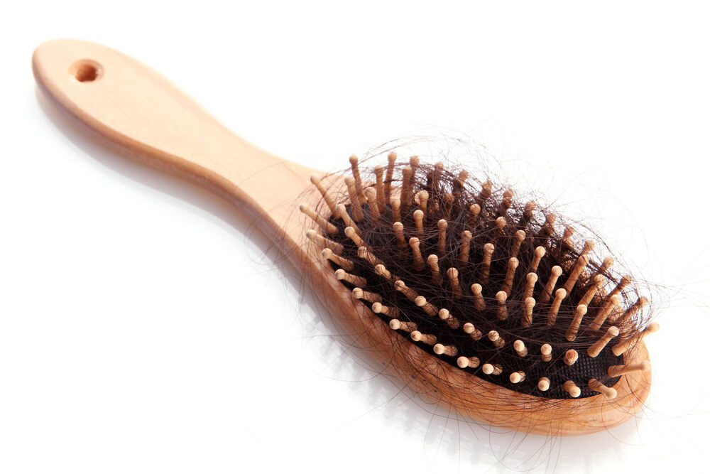 bundle of hair on a hairbrush